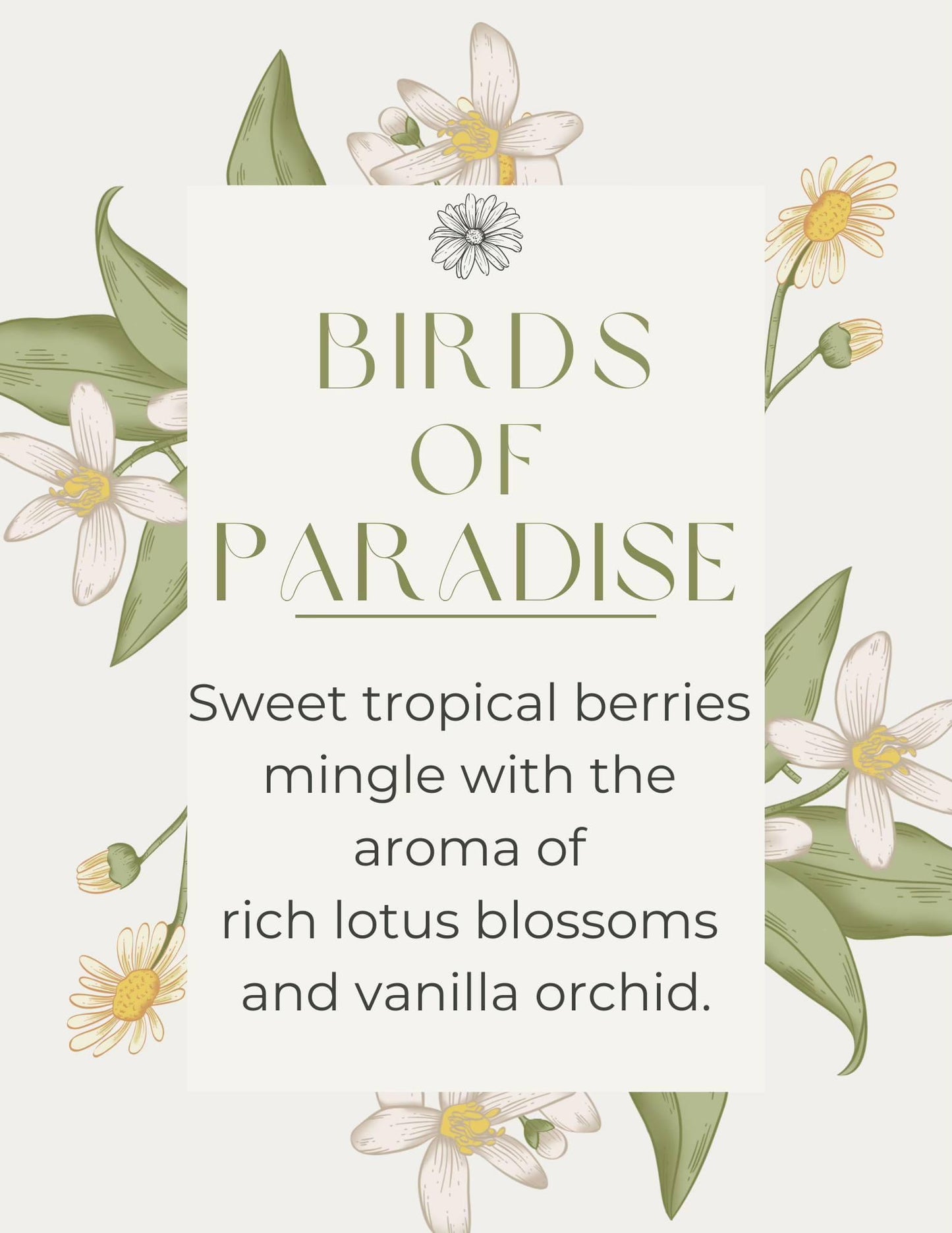 Birds Of Paradise Laundry Booster & Multipurpose Cleaner